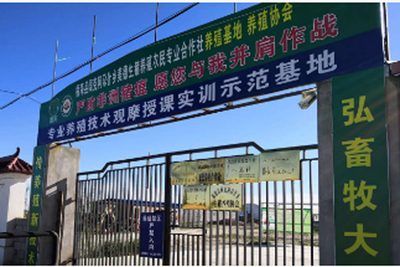 新疆福海养猪场
